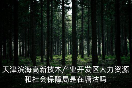 天津濱海高新技木產業(yè)開發(fā)區(qū)人力資源和社會保障局是在塘沽嗎