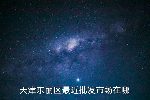 天津東麗區(qū)最近批發(fā)市場在哪