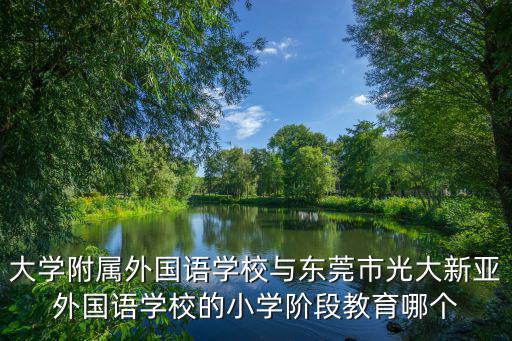 大學附屬外國語學校與東莞市光大新亞外國語學校的小學階段教育哪個