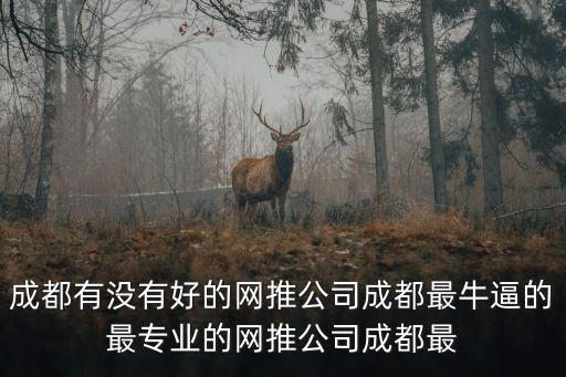 成都有沒有好的網推公司成都最牛逼的最專業的網推公司成都最
