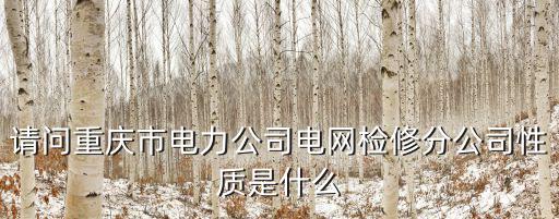 重慶市電力公司曹總經(jīng)理，請問重慶市電力公司電網(wǎng)檢修分公司性質(zhì)是什么