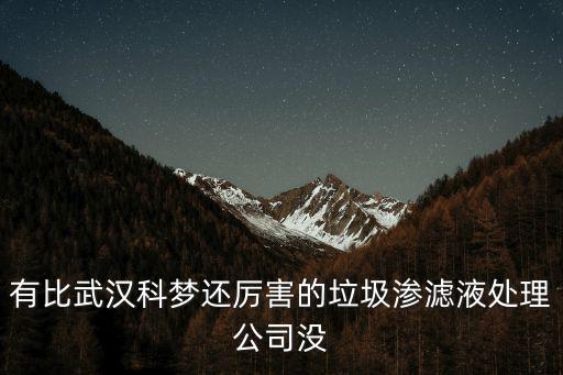 有比武漢科夢還厲害的垃圾滲濾液處理公司沒