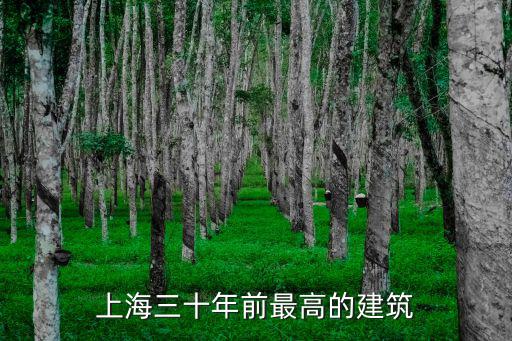上海三十年前最高的建筑