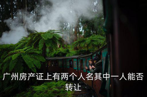 廣州房產(chǎn)證上有兩個(gè)人名其中一人能否轉(zhuǎn)讓