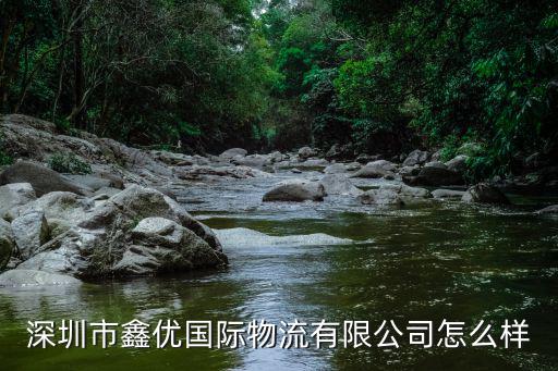 深圳市鑫優(yōu)國際物流有限公司怎么樣