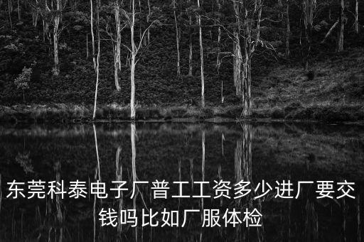 東莞N泰塑膠電子，東莞塘廈有那幾家塑膠電子廠在那個位置