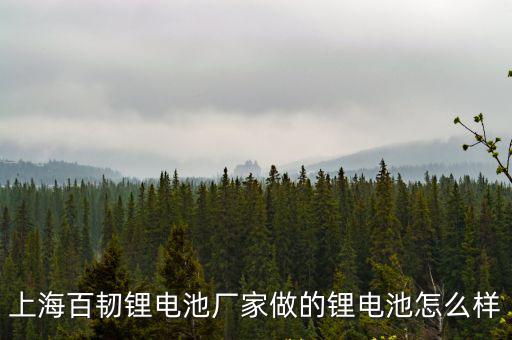 上海百韌鋰電池廠家做的鋰電池怎么樣