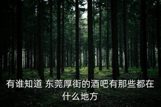 東莞厚街吧，有誰知道 東莞厚街的酒吧有那些都在什么地方