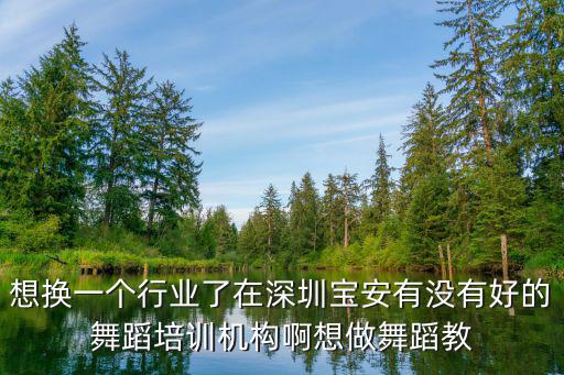 想換一個(gè)行業(yè)了在深圳寶安有沒有好的舞蹈培訓(xùn)機(jī)構(gòu)啊想做舞蹈教