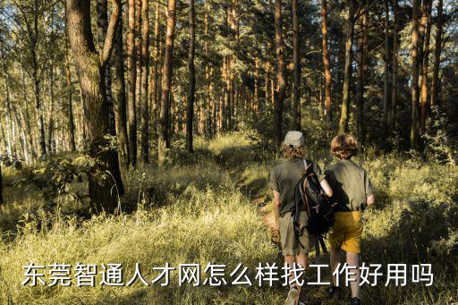 東莞智通人才網(wǎng)怎么樣找工作好用嗎