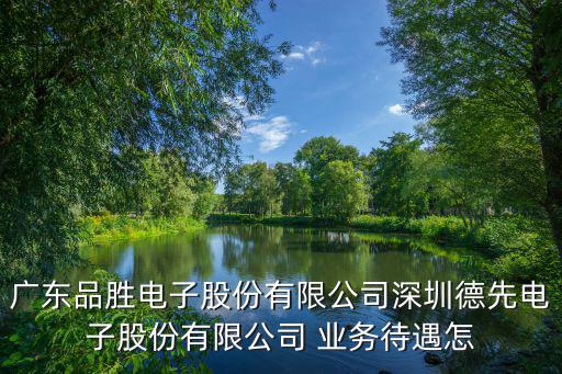 廣東品勝電子股份有限公司深圳德先電子股份有限公司 業(yè)務(wù)待遇怎