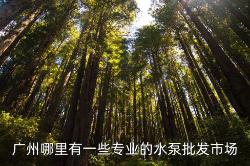 廣州哪里有一些專業(yè)的水泵批發(fā)市場(chǎng)