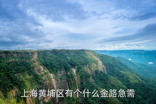 上海黃埔區(qū)有個什么金路急需