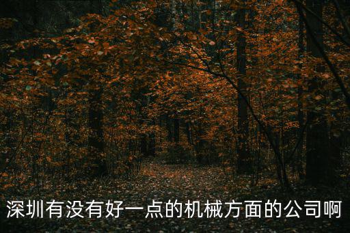 深圳誠銘機械有限公司，深圳有沒有好一點的機械方面的公司啊
