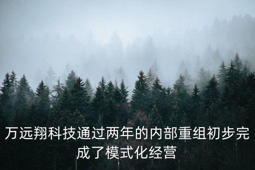 萬遠(yuǎn)翔科技通過兩年的內(nèi)部重組初步完成了模式化經(jīng)營