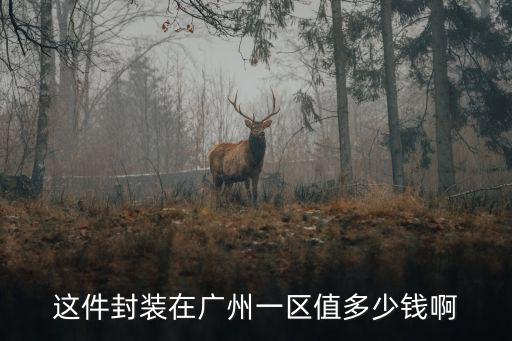 這件封裝在廣州一區值多少錢啊