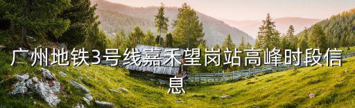 廣州地鐵3號線嘉禾望崗站高峰時段信息