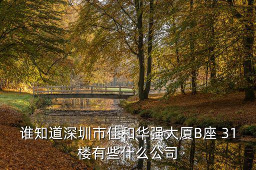 深圳市金海鷗科技有限公司，誰知道深圳市佳和華強(qiáng)大廈B座 31樓有些什么公司