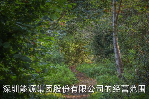 深圳市深能能源管理有限公司，請問各位大蝦 深能源集團怎么樣