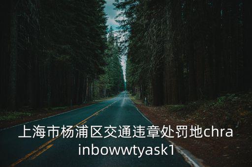 上海市楊浦區(qū)交通違章處罰地chrainbowwtyask1