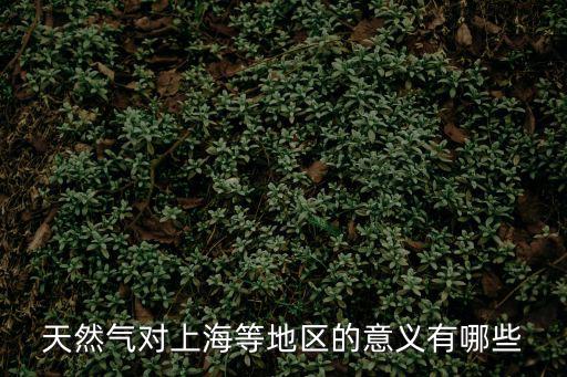 天然氣對上海等地區的意義有哪些