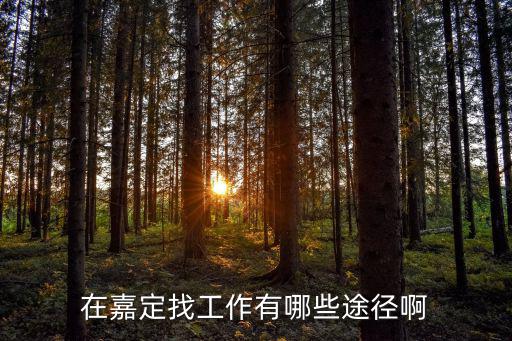 在嘉定找工作有哪些途徑啊