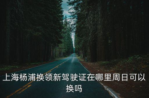 上海楊浦換領新駕駛證在哪里周日可以換嗎