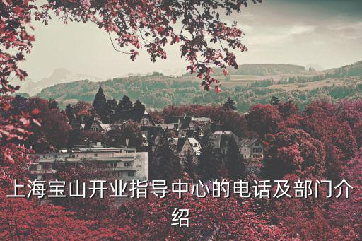 上海寶山開業指導中心的電話及部門介紹