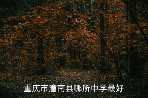 重慶市潼南縣哪所中學最好