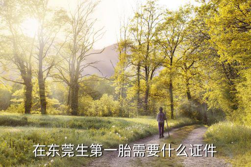 在東莞生第一胎需要什么證件