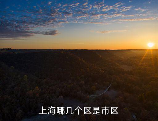上海哪幾個(gè)區(qū)是市區(qū)