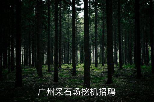 廣州采石場挖機(jī)招聘