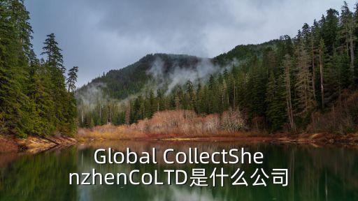 Global CollectShenzhenCoLTD是什么公司