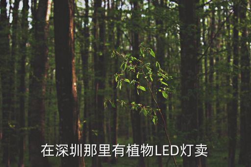 在深圳那里有植物L(fēng)ED燈賣(mài)