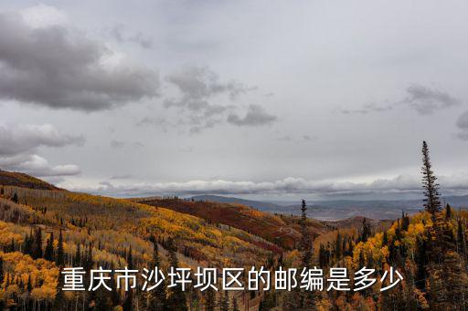 重慶市沙坪壩區(qū)的郵編是多少