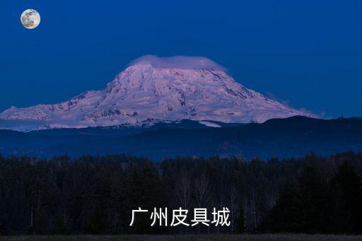 廣州皮具城