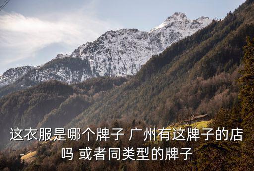 這衣服是哪個牌子 廣州有這牌子的店嗎 或者同類型的牌子