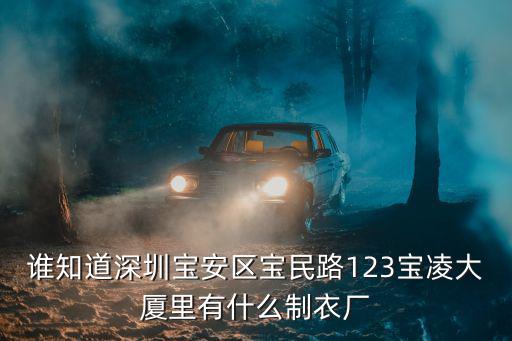 誰知道深圳寶安區寶民路123寶凌大廈里有什么制衣廠