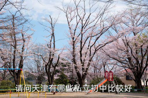請(qǐng)問天津有哪些私立初中比較好