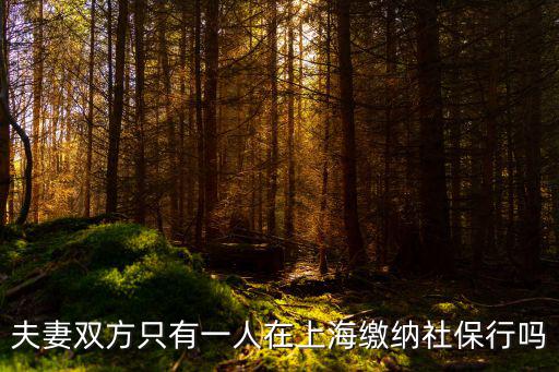 夫妻雙方只有一人在上海繳納社保行嗎