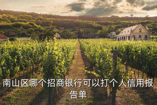 南山區(qū)哪個招商銀行可以打個人信用報告單