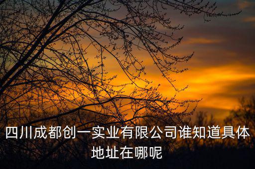 四川成都創(chuàng)一實業(yè)有限公司誰知道具體地址在哪呢