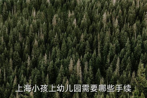 上海市幼兒入園統籌，上海幼兒園 交的160元保險費其中之一是住院互助 另一個80元是什么