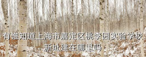 上海市桃李園小學校長，上海市嘉定區勝竹路旭輝錦庭上哪個小學