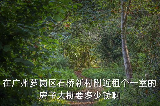 在廣州蘿崗區(qū)石橋新村附近租個(gè)一室的房子大概要多少錢啊
