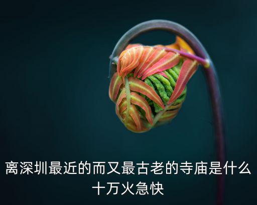 深圳絳州鼓樂，離深圳最近的而又最古老的寺廟是什么十萬火急快