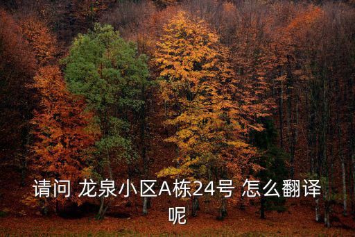 請(qǐng)問 龍泉小區(qū)A棟24號(hào) 怎么翻譯呢