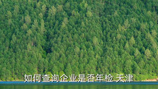 如何查詢企業是否年檢 天津