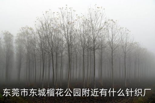東莞市東城榴花公園附近有什么針織廠