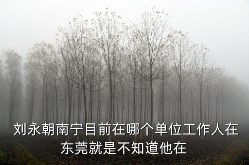  劉永朝南寧目前在哪個單位工作人在東莞就是不知道他在